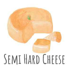 Semi Hard Cheese